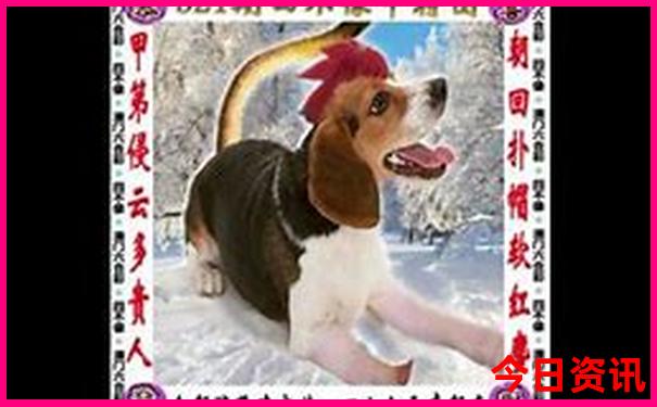 长沙旅游攻略景点